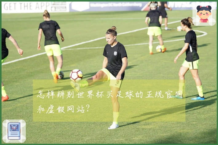 怎样辨别世界杯买足球的正规官网和虚假网站？