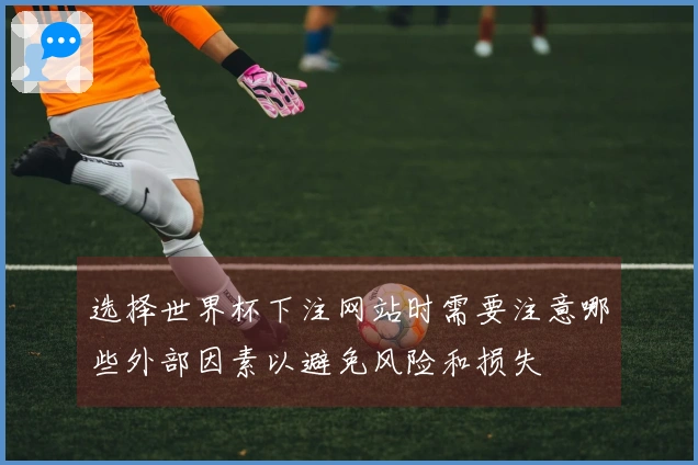 选择世界杯下注网站时需要注意哪些外部因素以避免风险和损失