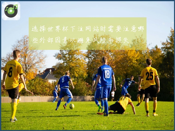 选择世界杯下注网站时需要注意哪些外部因素以避免风险和损失